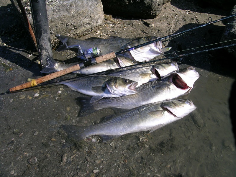 dscn0092.jpg